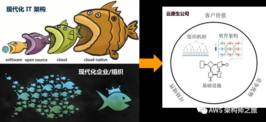 云原生企业——架构师视角的思考