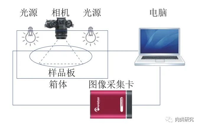 [论文荐读]重组牛肉图像识别模型的比较研究