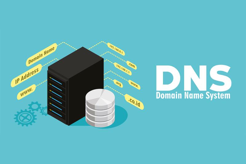 超级小白必看：CentOS 8 清除 DNS 缓存的方法