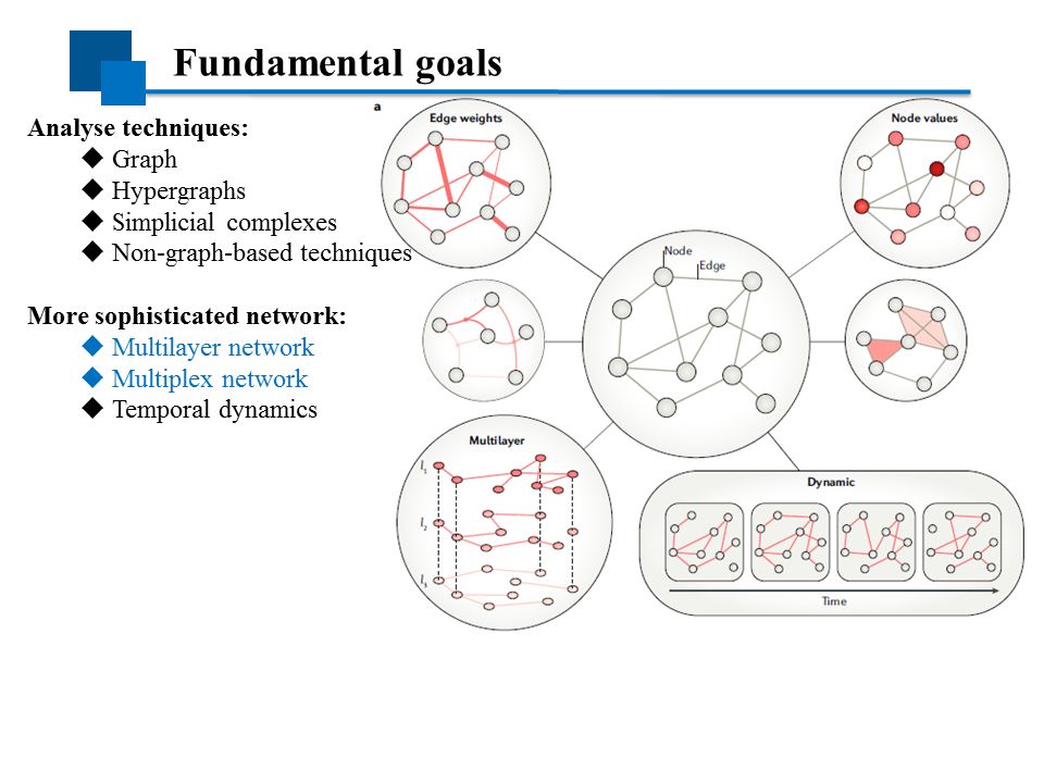 神经科学网络模型