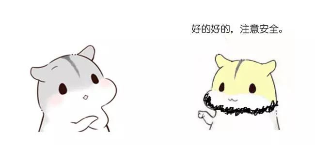 漫画：什么是冒泡排序？