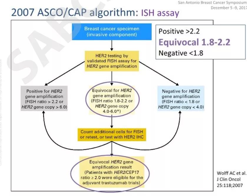 【2017 SABCS】梅奥的Jenkins教授：即将发布的HER2检测指南更新抢先看