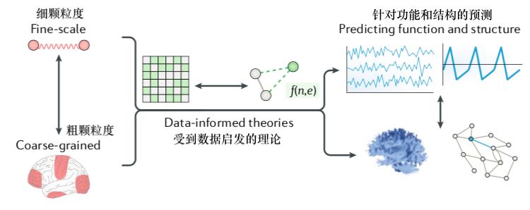 网络神经科学综述：网络模型的三大维度分类图鉴