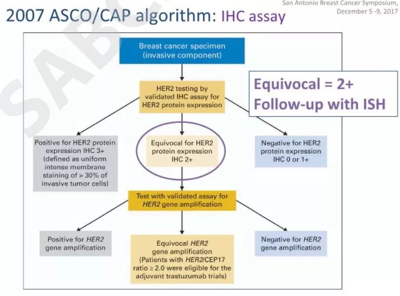 【2017 SABCS】梅奥的Jenkins教授：即将发布的HER2检测指南更新抢先看