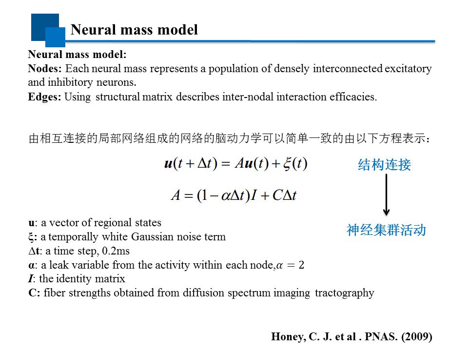 神经科学网络模型