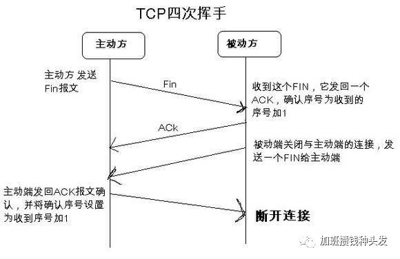 网络通信与IO（2）：网络模型与协议