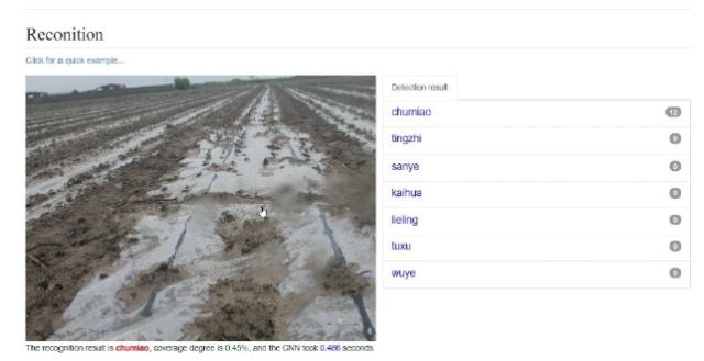 数据诊所 | 一个小案例，从图像识别技术看农业智能化……