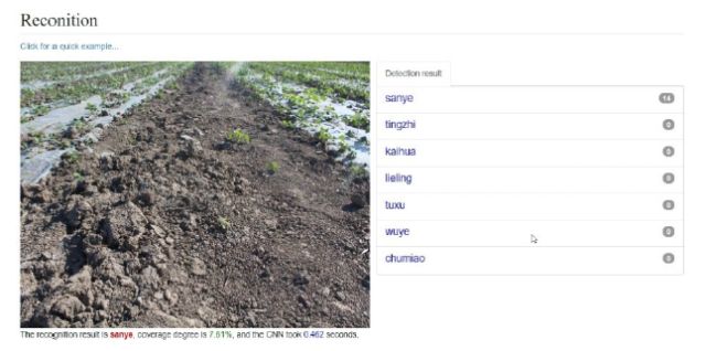 数据诊所 | 一个小案例，从图像识别技术看农业智能化……