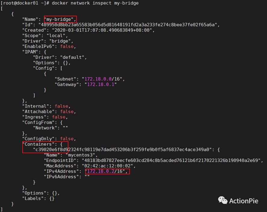 详解docker桥接网络模型