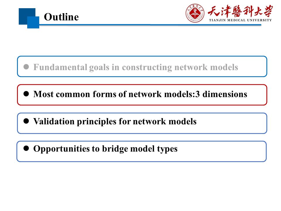 神经科学网络模型