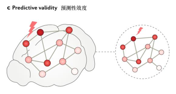 网络神经科学综述：网络模型的三大维度分类图鉴