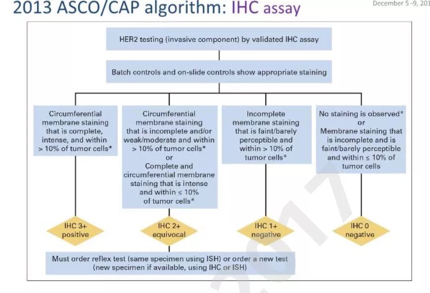【2017 SABCS】梅奥的Jenkins教授：即将发布的HER2检测指南更新抢先看