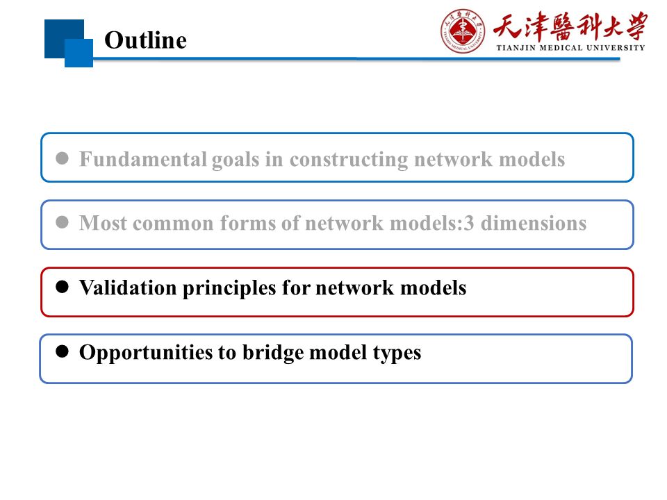 神经科学网络模型