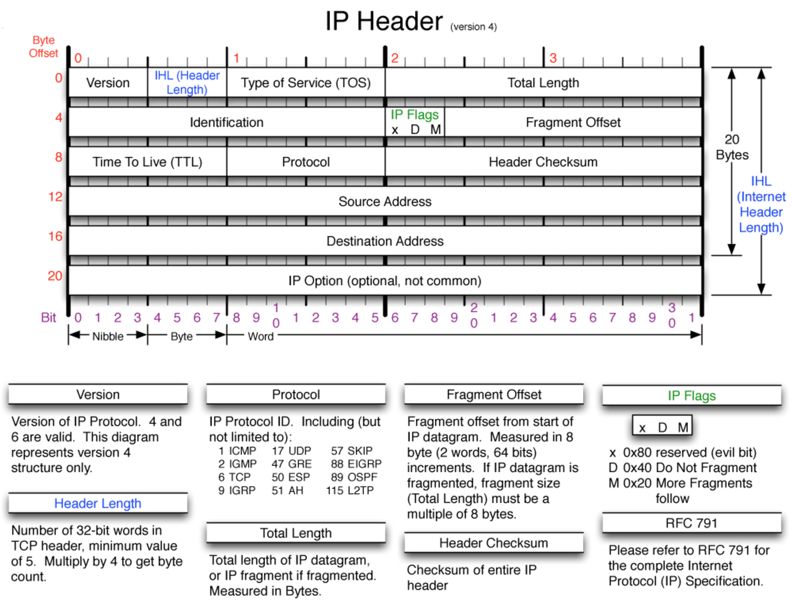 一文读懂 TCP/IP 网络模型