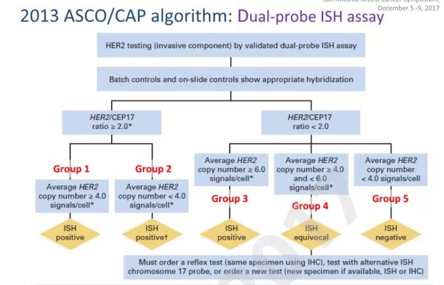 【2017 SABCS】梅奥的Jenkins教授：即将发布的HER2检测指南更新抢先看