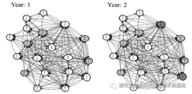 结合社会网络-生态网络模型分析物种入侵问题