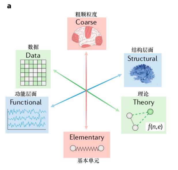 网络神经科学综述：网络模型的三大维度分类图鉴