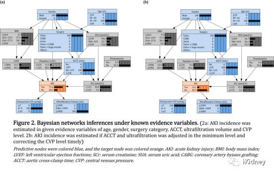 贝叶斯网络模型识别心脏手术后AKI高危患者