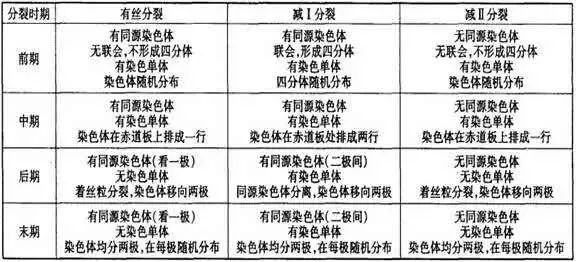 【难点仔细看】有丝分裂和减数分裂图像识别与题型分析