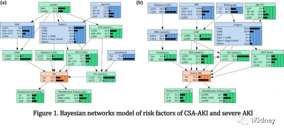 贝叶斯网络模型识别心脏手术后AKI高危患者