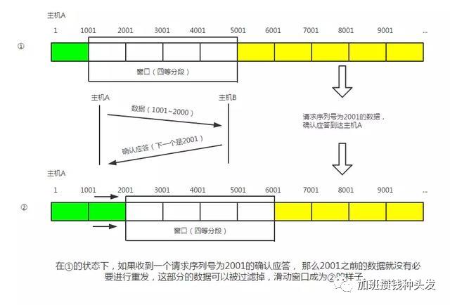 网络通信与IO（2）：网络模型与协议