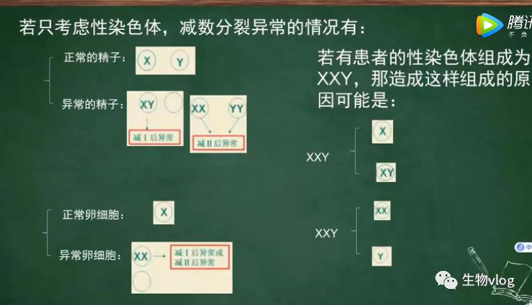 [敲重点]减数分裂图像识别及分裂异常情况分析