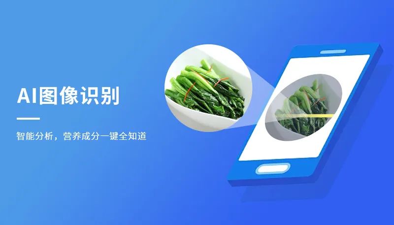 AI图像识别颠覆传统营养咨询