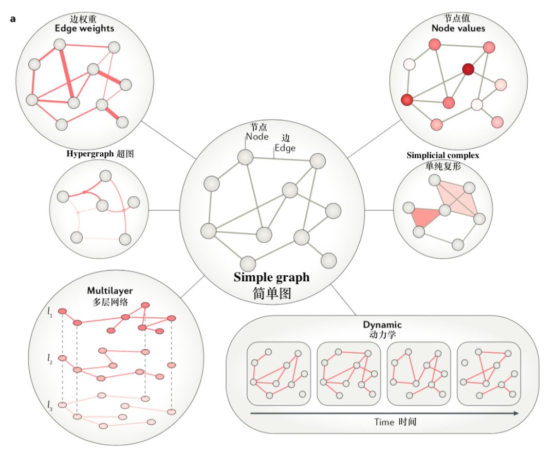 网络神经科学综述：网络模型的三大维度分类图鉴