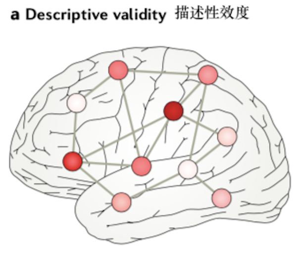 网络神经科学综述：网络模型的三大维度分类图鉴