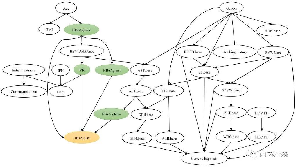 【期刊导读】贝叶斯网络模型告诉您哪些慢乙肝人群的HBsAg清除率最高