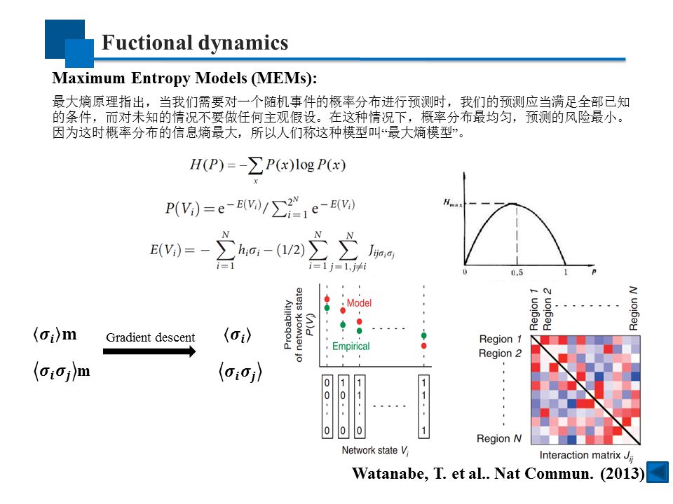 神经科学网络模型