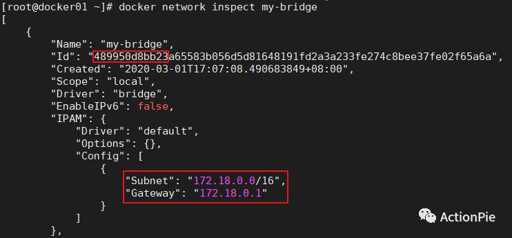 详解docker桥接网络模型