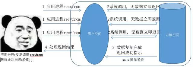 长知识！详解Linux五大网络IO模型