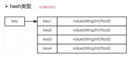 轻松搞定高并发：详解Redis的五种数据类型及应用场景分析！