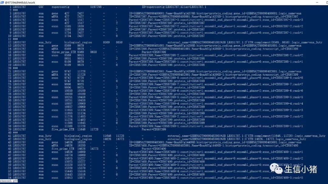 linux基础常用命令