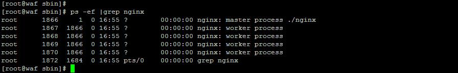 linux安全-NGINX基本配置