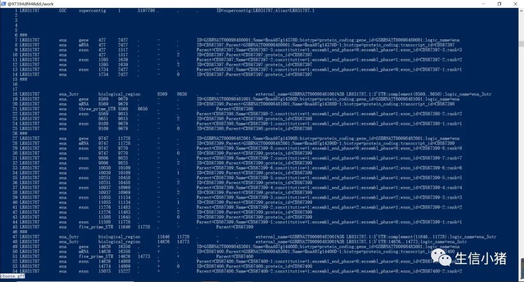 linux基础常用命令