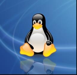 Linux命令及软件安装