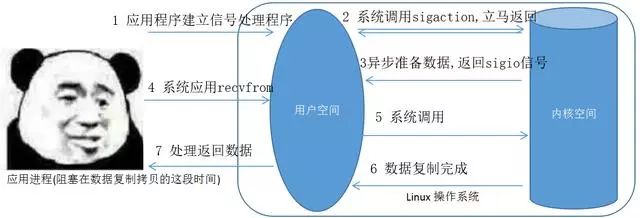 真正涨知识了！Linux五大网络IO模型详解