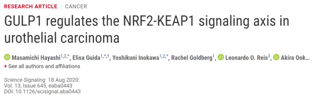 NRF2-KEAP1信号通路上，期待肿瘤抑制因子GULP1乘风破浪