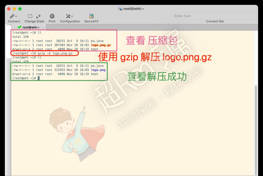 Linux 系统 压缩和解压 gz 格式文件