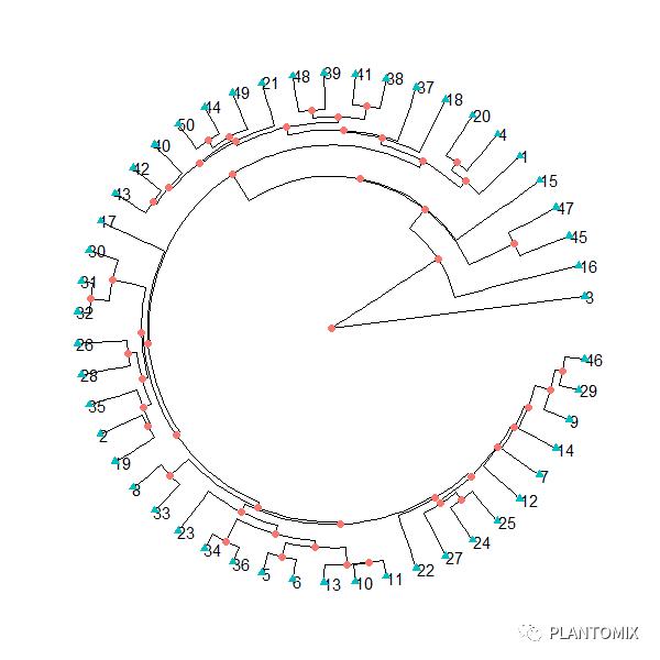 【R语言】层次聚类算法及可视化