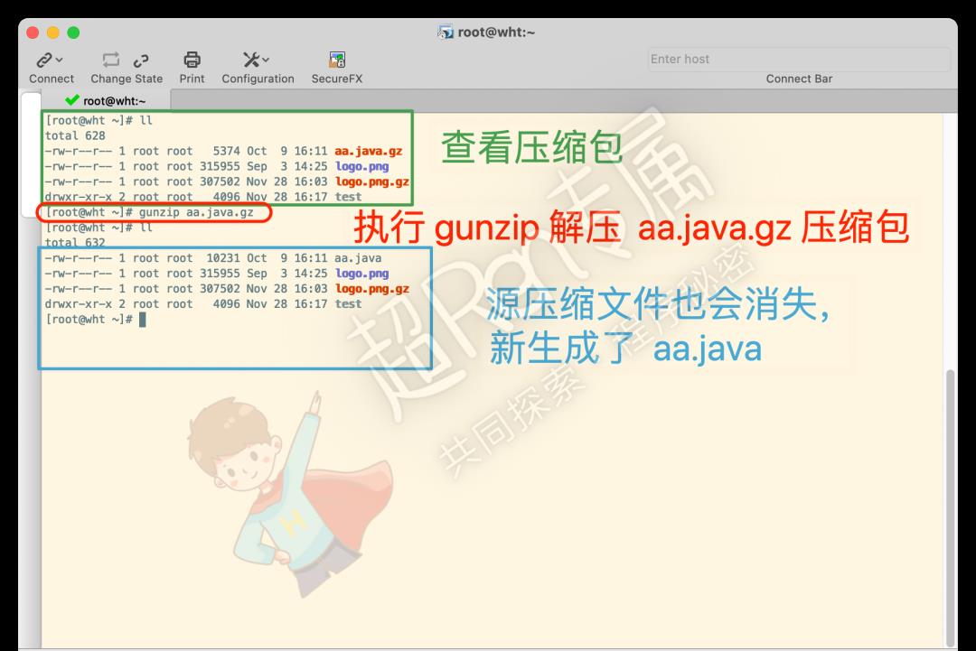 Linux 系统 压缩和解压 gz 格式文件