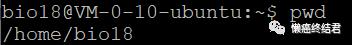 1、linux入门的几个基础操作