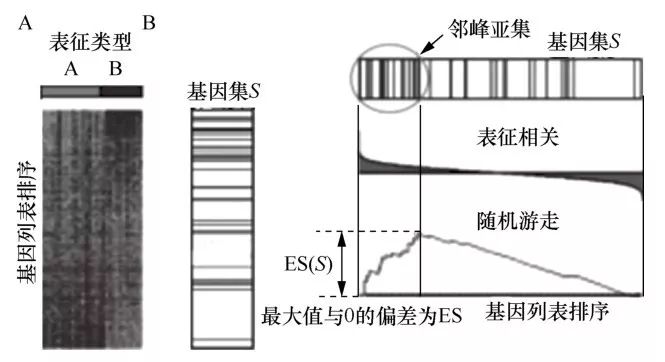 生物效应大数据评估聚类算法的并行优化