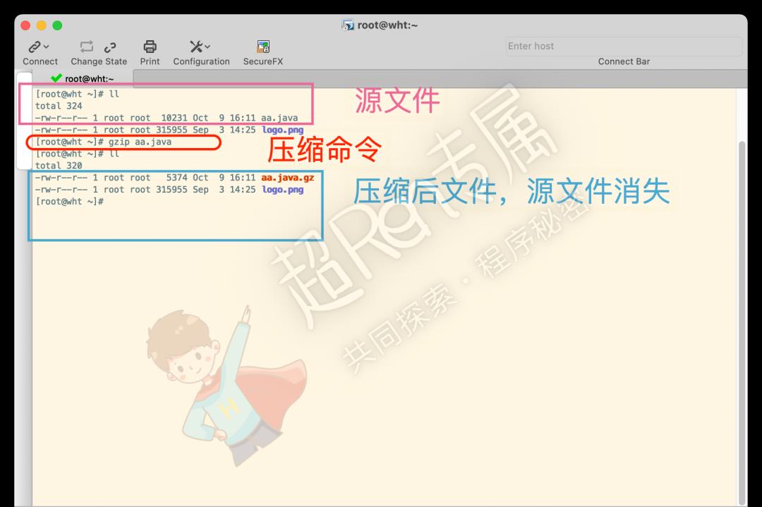 Linux 系统 压缩和解压 gz 格式文件