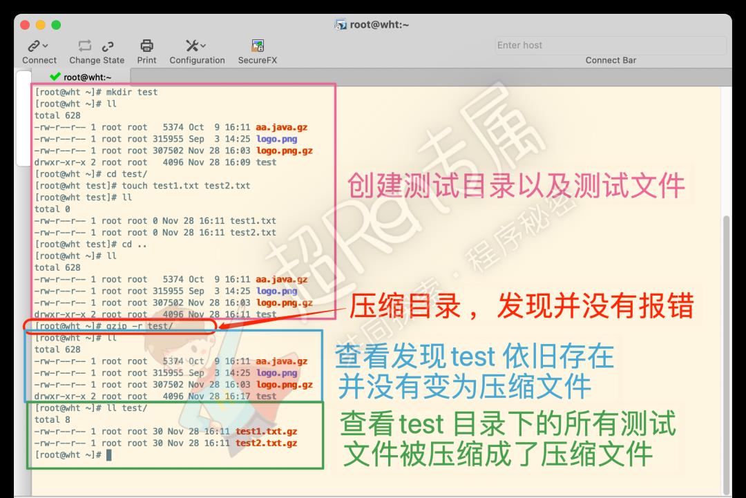 Linux 系统 压缩和解压 gz 格式文件