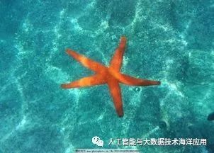 综述聚类算法海洋应用国内国外的现状