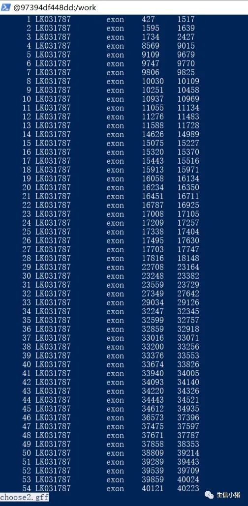 linux基础常用命令