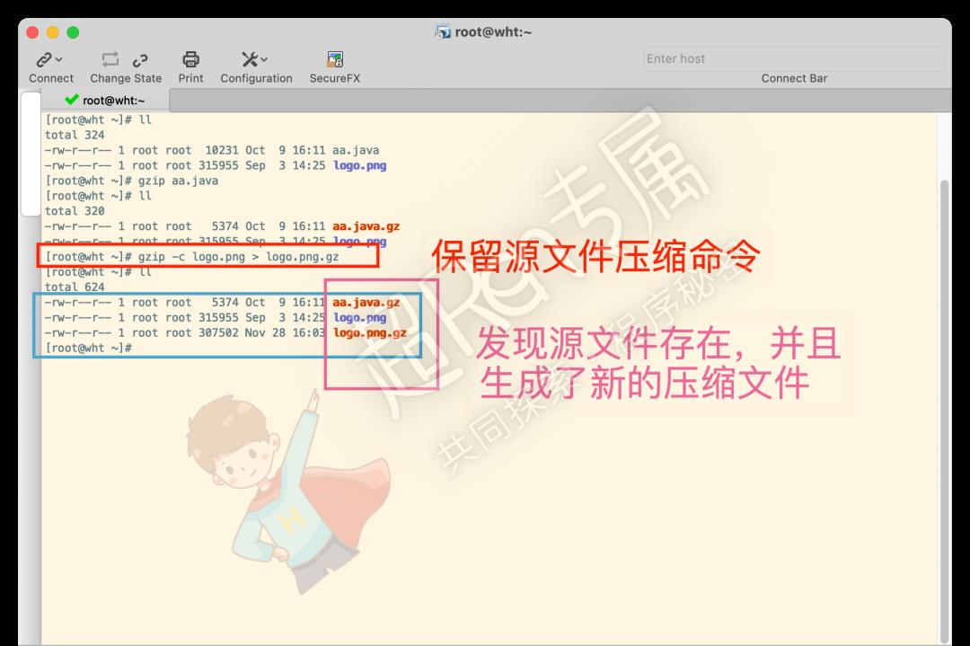 Linux 系统 压缩和解压 gz 格式文件